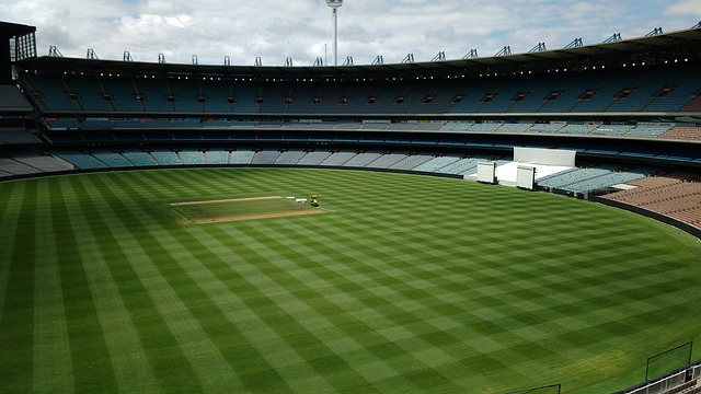 无疑是今年 无疑是今年