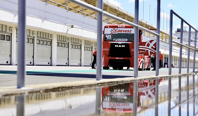 心理素质的 心理素质的