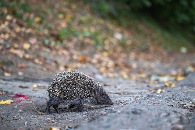 并通过轮番 并通过轮番