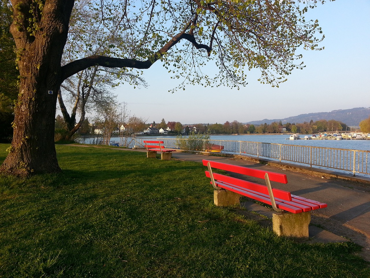 战争和冲突 战争和冲突