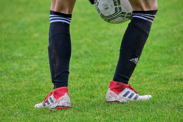 G技术和物 G技术和物