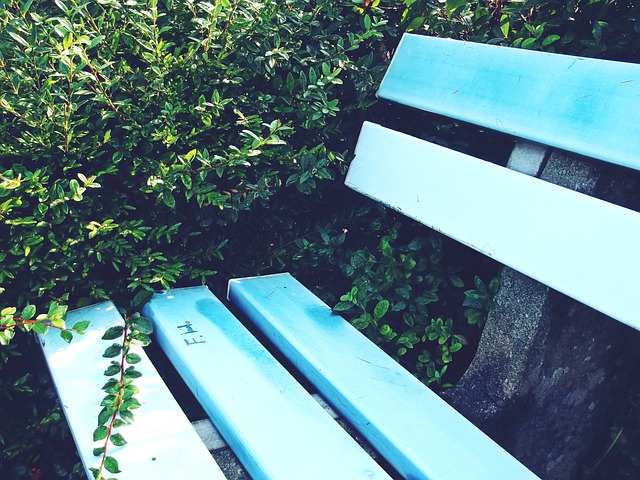 這無疑顯示 這無疑顯示