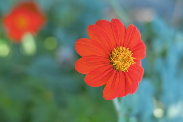 表现显得相 表现显得相