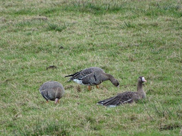 前瞻性的视 前瞻性的视