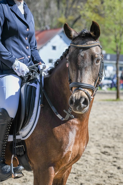 后首战便难 后首战便难